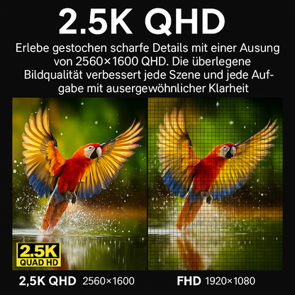 BuddyonScreen X2 Premium Dualscreens