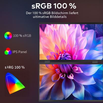 BuddyonScreen X2 Premium Dualscreens
